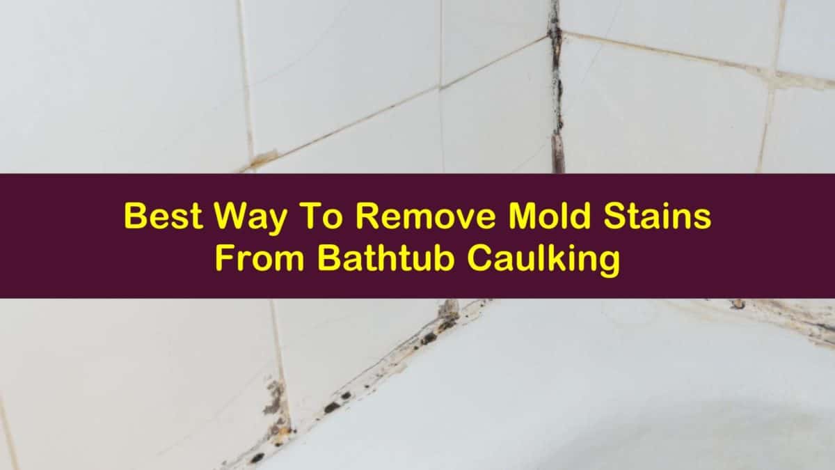 Best Way To Remove Mold Stains From Bathtub Caulking